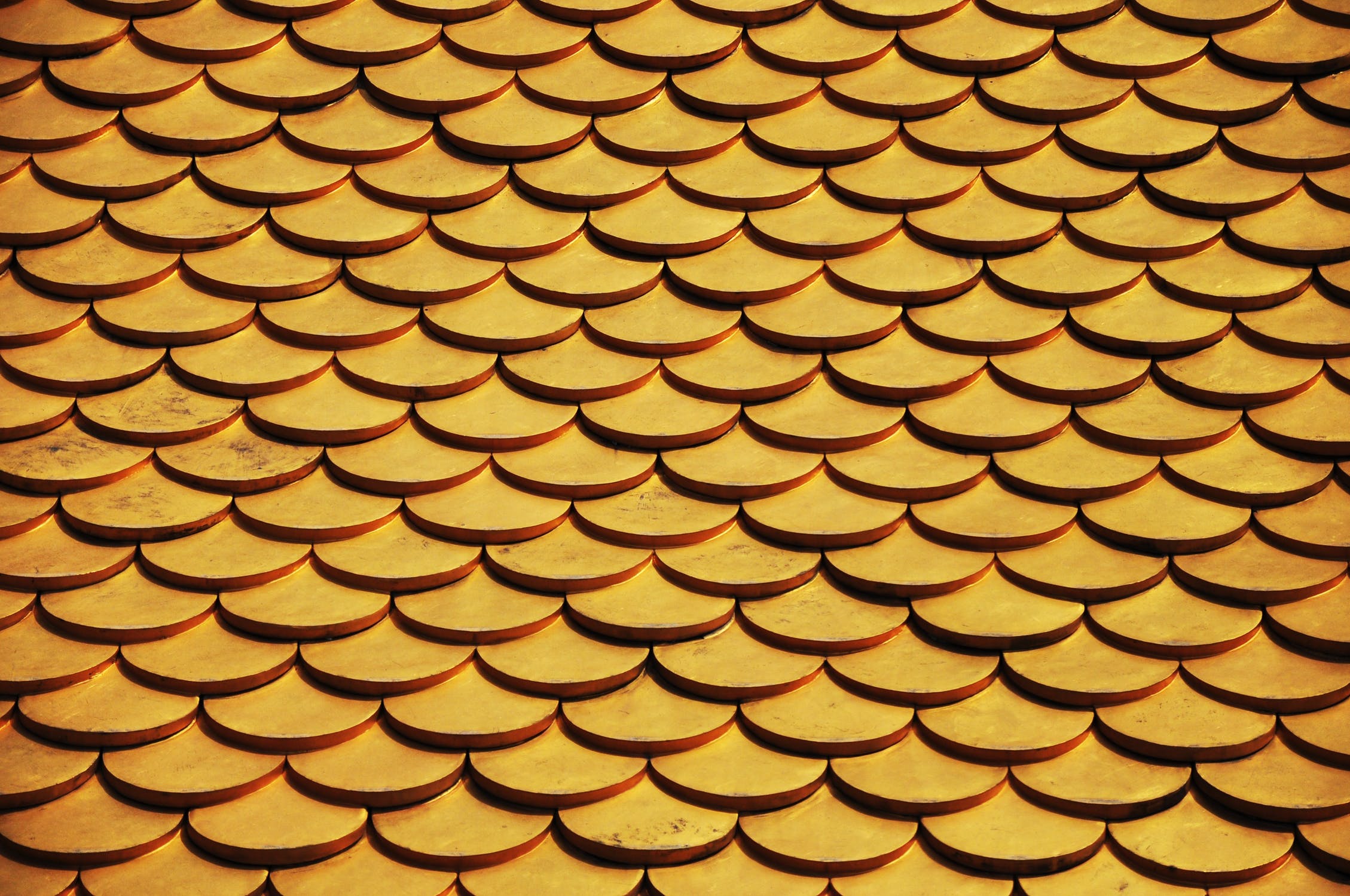 pexels photo 260286