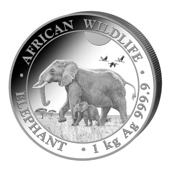 1 kilo somalia elephant 2022 shillings 2