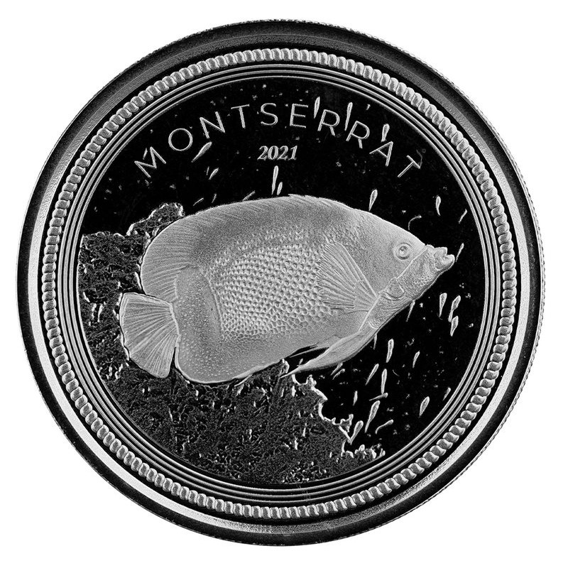 1 oz silver 2021 montserrat eastern caribbean n3 8 ec8 blue girdled angelfish