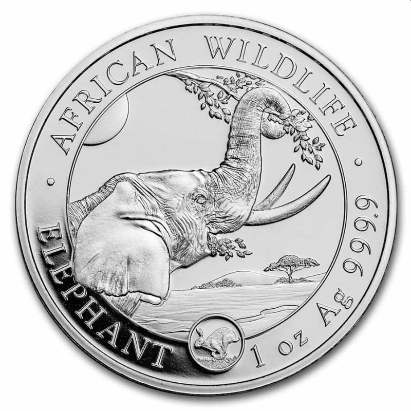 1 oz silver somalia elephant 2023 shillings 100 privy rabbit