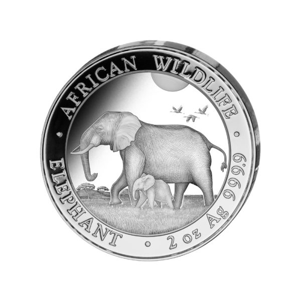 2 oz silver elephant 2022 somalia 200 shillings