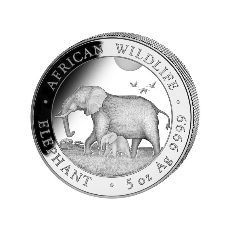 5 oz silver elephant 2022 somalia 500 shillings