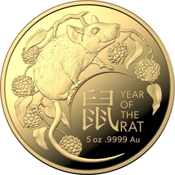 Numismatik Gold 2020 RAM 5 oz Year Rat VS