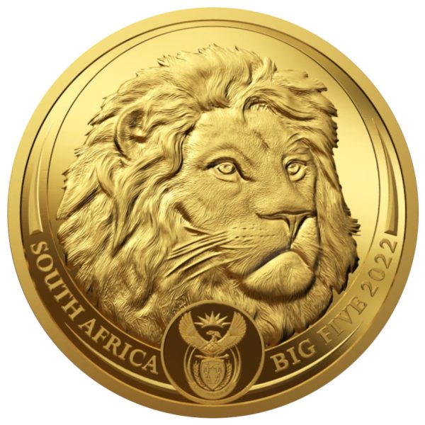 big five lion gouden munt 2022 proof 1
