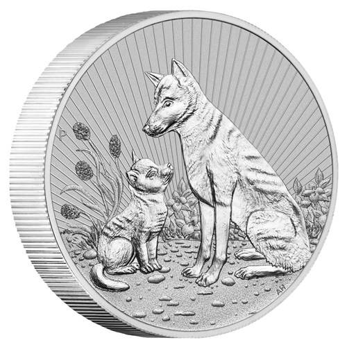 eng pl The Next Generation Mother and Baby Dingo 2 oz Silver 2022 Piedfort Individual Bullion Coin 6264 1