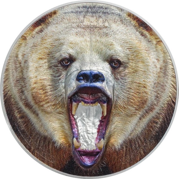 TZ2001 Rare Wildlife Grizzly Bear r