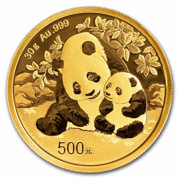 Panda 30 gram gouden munt 2024